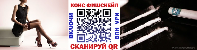 COCAIN Fish Scale  Купить где  Юрга 