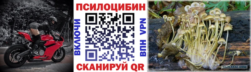 Галлюциногенные грибы Cubensis  Купить где  Юрга 
