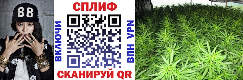 Купить где  Юрга  МАРИХУАНА семена 